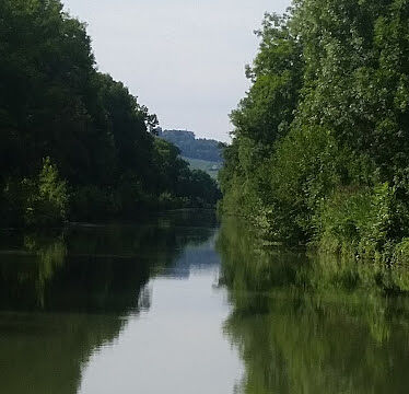 Arborescences