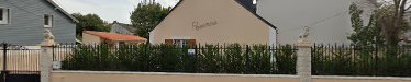 SK Elagage Nantes 44000 : Elagueur Abattage Loire Atlantique 44